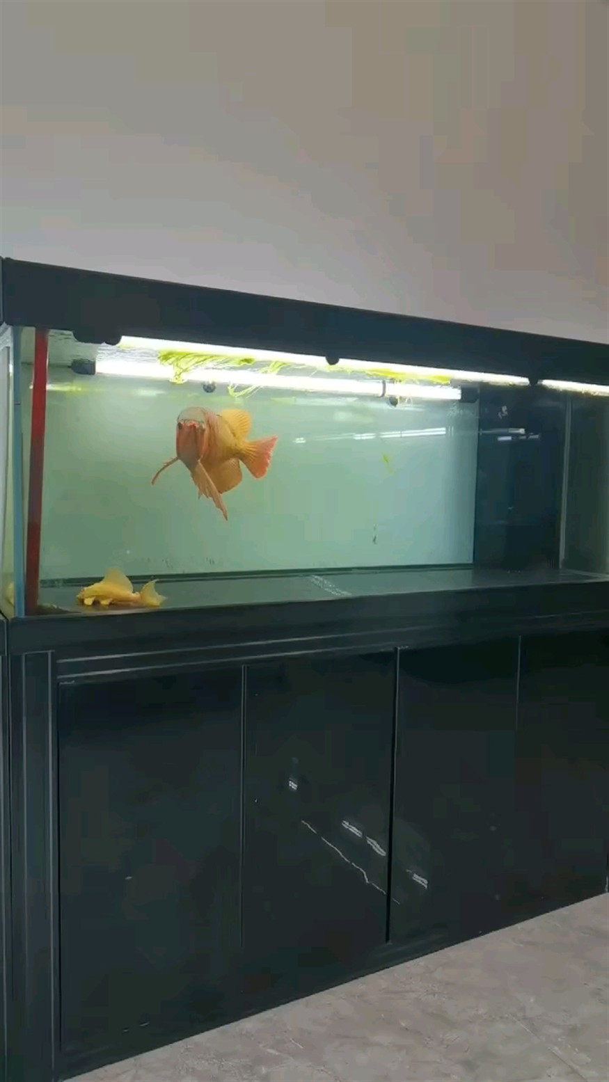 祝大家中秋節快樂