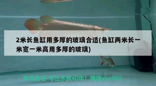 2米長魚缸用多厚的玻璃合適(魚缸兩米長一米寬一米高用多厚的玻璃)