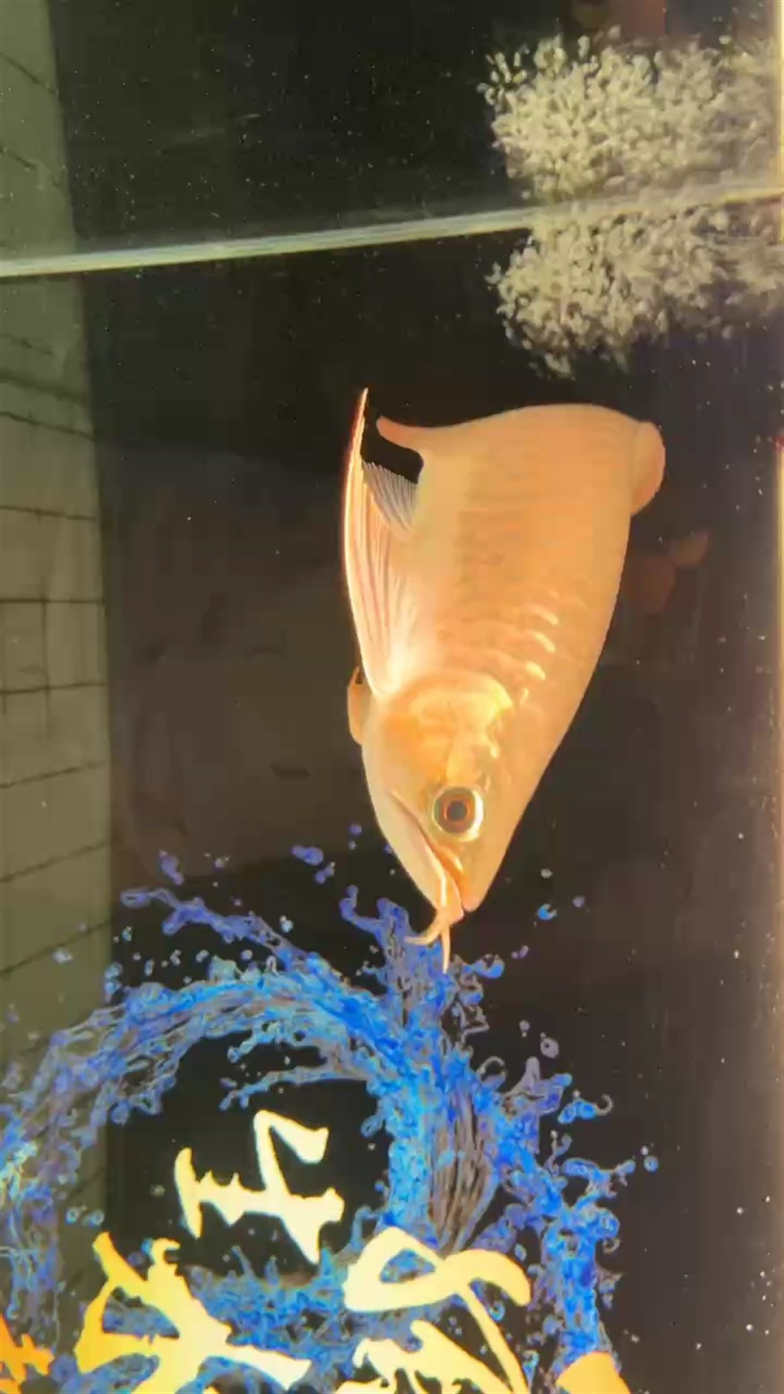 馬印2700搞起