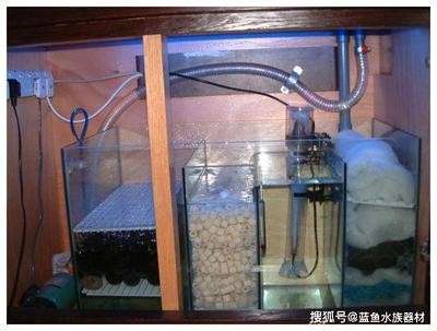 寧武縣名魚水族館（寧武縣名魚水族館在哪里）