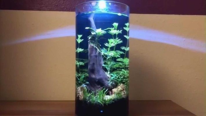 半圓柱魚缸造景圖：半圓柱魚缸造景圖對(duì)不起，由于搜索結(jié)果中沒有提供直接的半圓柱魚缸造景圖
