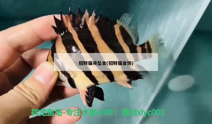 招財貓吊墜金(招財貓金飾)