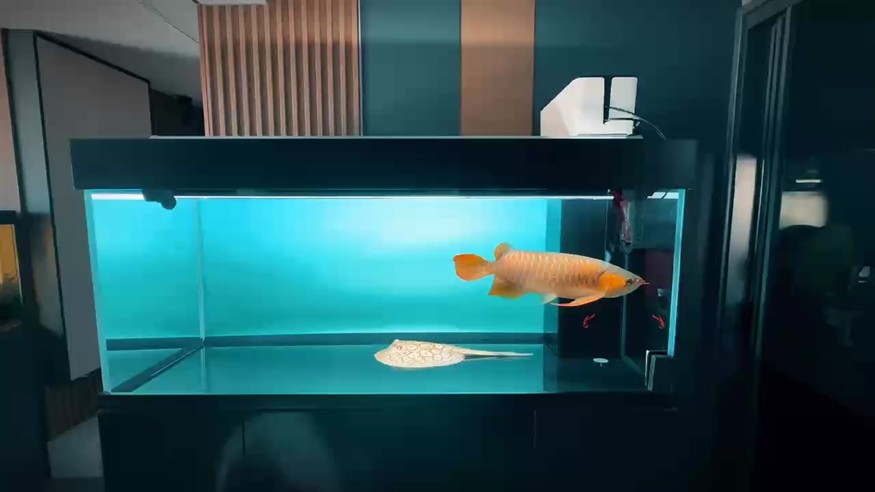 中秋 國慶快樂哈