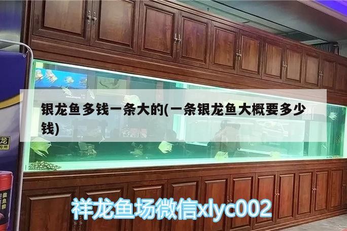 魚缸用增氧泵價格是多少:魚缸增氧機-xtrac增氧機-xtrac增氧機 金頭虎魚視頻(金頭虎魚苗) 虎魚百科 金頭虎魚視頻(金頭虎魚苗) 金頭虎魚視頻(金頭虎魚苗) 虎魚百科