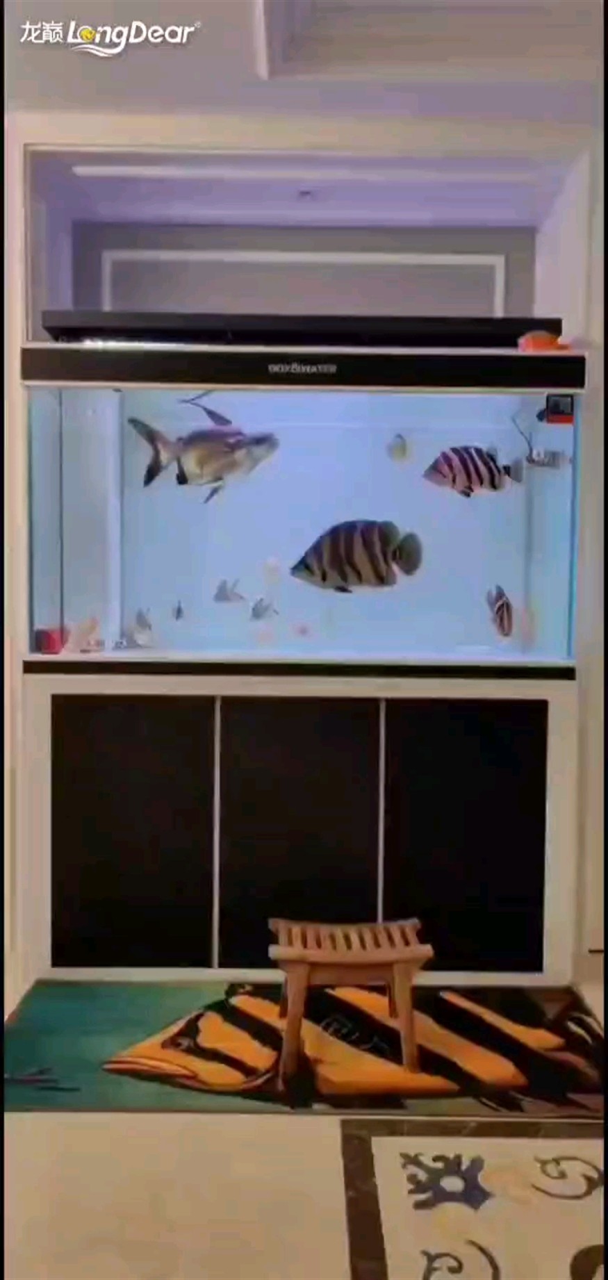 轉發181