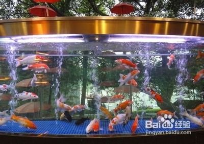 辦公室魚缸放在哪里最旺財：辦公室魚缸擺放的風水知識
