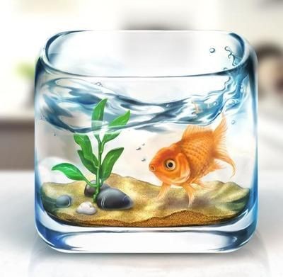 辦公室魚缸放在哪里最旺財：辦公室魚缸擺放的風水知識