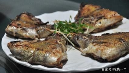 龍魚掉眼會越來越嚴重嗎為什么不吃食了