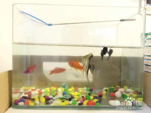 灤縣新城羅漢堂水族異寵館（灤州市羅漢洞）