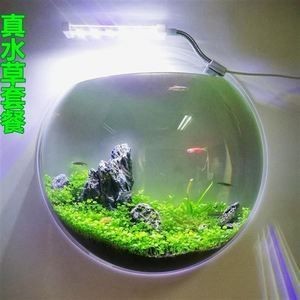 玻璃魚缸怎么鉆孔:如何在玻璃魚缸上鉆孔 魚缸百科 第4張 玻璃魚缸怎么鉆孔:如何在玻璃魚缸上鉆孔 玻璃魚缸怎么鉆孔:如何在玻璃魚缸上鉆孔 魚缸百科 第4張