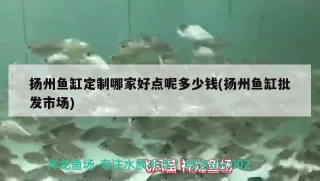 揚州魚缸定制哪家好點呢多少錢(揚州魚缸批發市場)