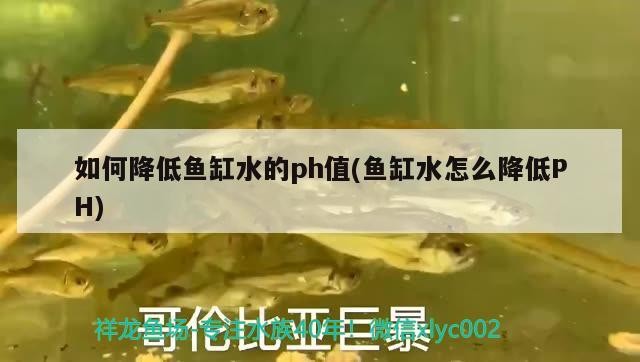 如何降低魚缸水的ph值(魚缸水怎么降低PH)