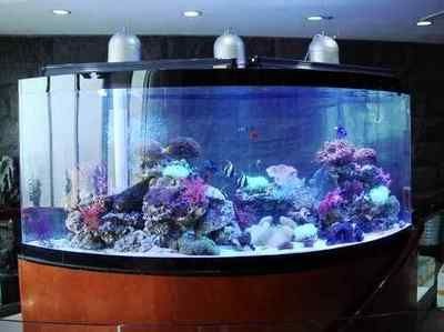 大魚缸清洗怎么把水倒出來:大魚缸清洗時倒出水主要有以下幾個方法需要注意保護魚兒 魚缸百科 第1張 大魚缸清洗怎么把水倒出來:大魚缸清洗時倒出水主要有以下幾個方法需要注意保護魚兒 大魚缸清洗怎么把水倒出來:大魚缸清洗時倒出水主要有以下幾個方法需要注意保護魚兒 魚缸百科 第1張
