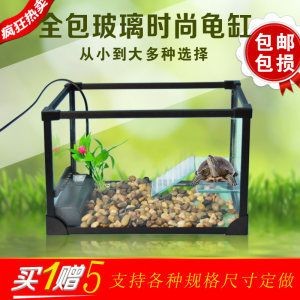 大魚缸定制：大型魚缸定制服務