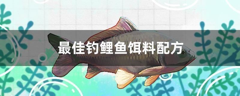 五原縣漁知樂水族館（五原漁家寨電話）