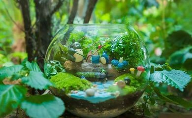 玻璃魚缸景觀圖：尋找玻璃魚缸景觀圖時