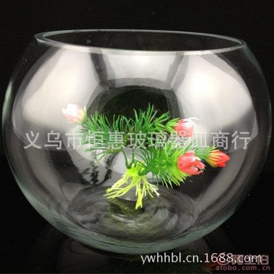 玻璃魚缸景觀圖：尋找玻璃魚缸景觀圖時
