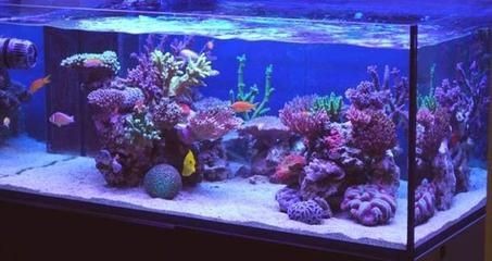 玻璃魚缸做好后多少天才能養魚？：玻璃魚缸做好后通常需要進行一定程度的處理和準備