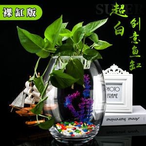 超白金晶玻璃魚缸啥意思