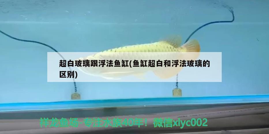 超白玻璃跟浮法魚缸(魚缸超白和浮法玻璃的區別)