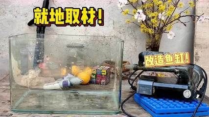 打碎魚缸視頻：3歲半萌娃演示魚缸是怎么敲破的