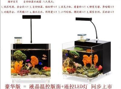 玻璃魚缸廠家：玻璃魚缸生產廠家