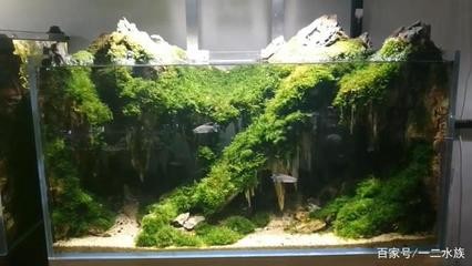 漳州市薌城區(qū)海浪花水族館（漳州市薌城區(qū)海浪花水族館電話）