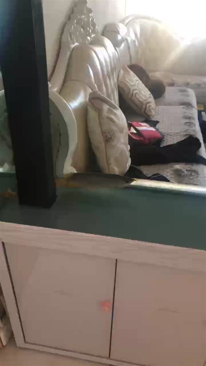 看看我的紅龍什么毛病 請教各位神仙