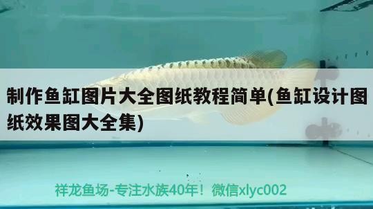 制作魚缸圖片大全圖紙教程簡單(魚缸設(shè)計圖紙效果圖大全集)