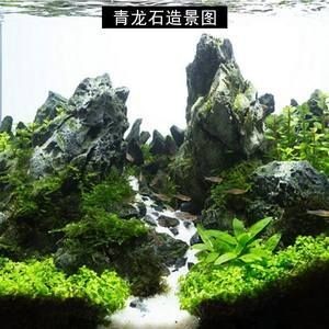 超小型魚缸造景圖：水草造景入門指南