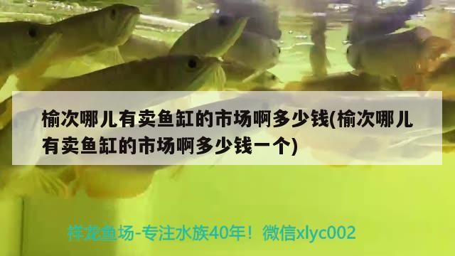 榆次哪兒有賣魚缸的市場啊多少錢(榆次哪兒有賣魚缸的市場啊多少錢一個)