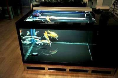 森森過濾器不工作（森森過濾器不出水）