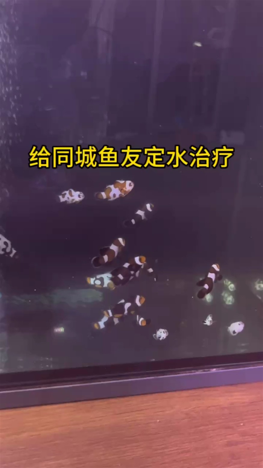定水加治療