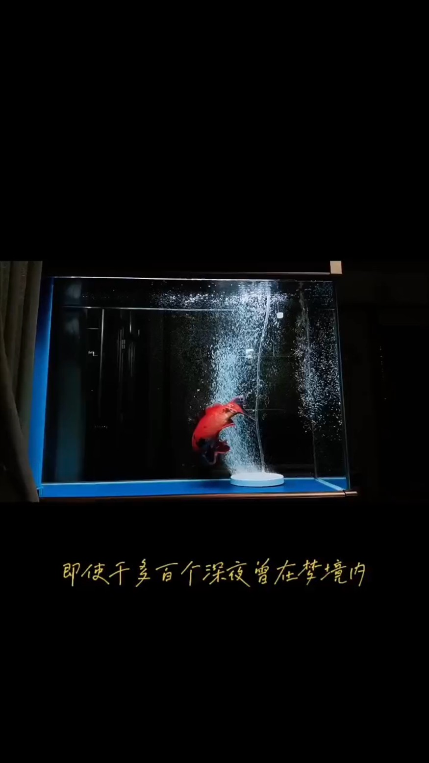看看緋寫