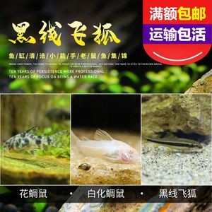大型魚缸怎么運輸到家里：大型魚缸如何搬運