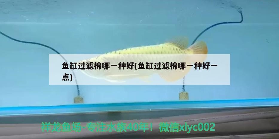 魚缸過濾棉哪一種好(魚缸過濾棉哪一種好一點)