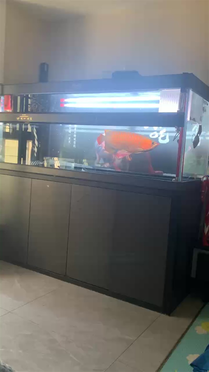 歡迎新朋友到家