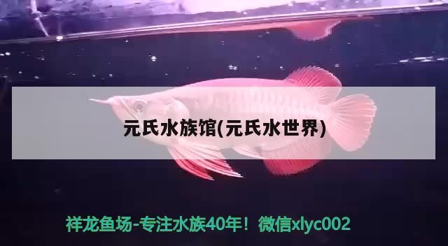 元氏水族館(元氏水世界)