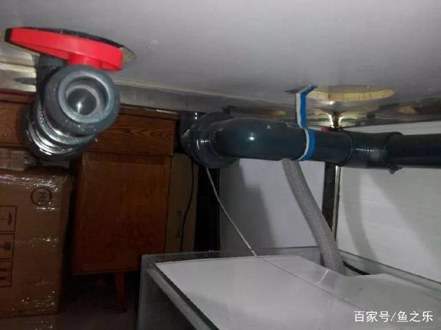 重慶市渝中區(qū)博雅水族畫經(jīng)營部（博雅水族畫官網(wǎng)）