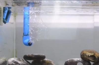 大蘇打魚缸水渾濁變澄清：魚缸水渾濁的原因和處理方法