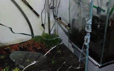 玻璃魚缸開裂如何處理最好呢：當玻璃魚缸出現開裂時，根據裂紋位置和嚴重程度有所不同
