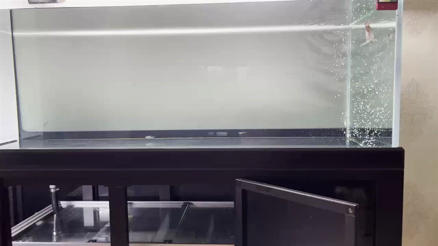 不停泵換水