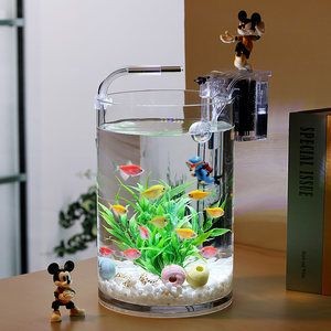 大型圓柱形魚缸造景：圓柱形魚缸造景的注意事項圓柱形魚缸造景的注意事項