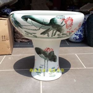 適合魚缸飼養的小鯊魚有哪些品種適合魚缸飼養的小鯊魚有哪些品種，適合魚缸飼養的小鯊魚