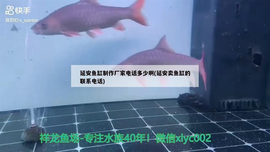 延安魚缸制作廠家電話多少啊(延安賣魚缸的聯系電話)