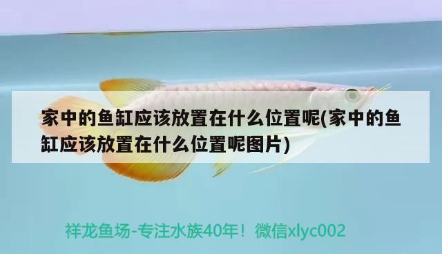 博爾塔拉蒙古自治州水族館關(guān)禁閉