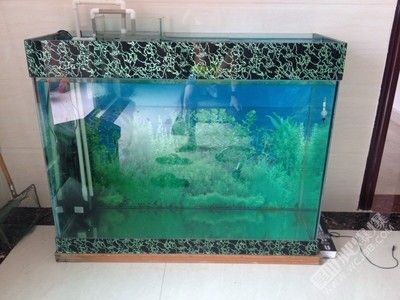 出售二手魚缸：二手魚缸出售信息