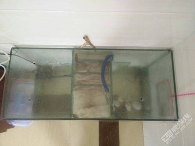 出售二手魚缸：二手魚缸出售信息