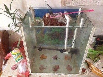 出售二手魚缸：二手魚缸出售信息