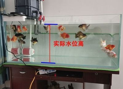 大蘇打魚缸放多少水最好呢：大蘇打在魚缸中的主要作用是除氯，它可以幫助去除自來水中的余氯